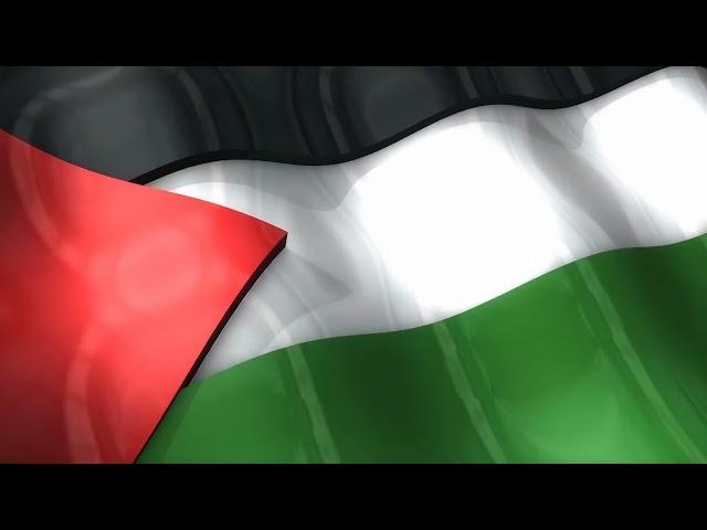 3D Palestine Flag Waving