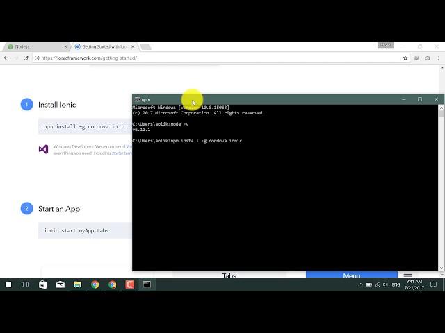 install ionic using npm in windows