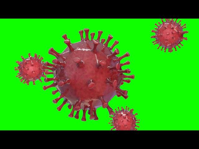 Green screen VIRUS 3D free Corona virus footage Animation COVID-19