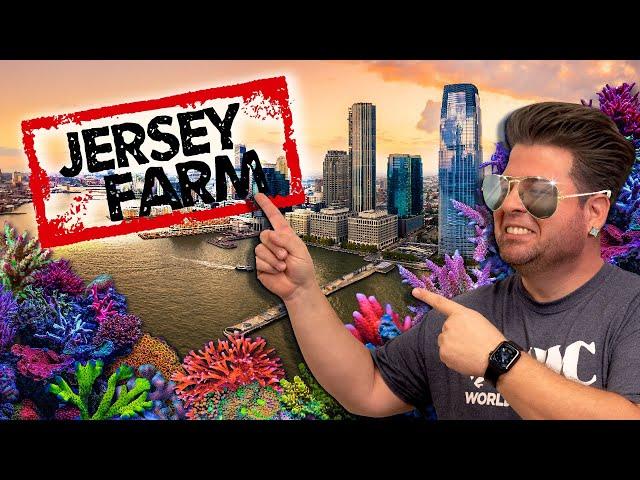 It's ReefCo Time! VIP Tour of IMMACULATE Farm