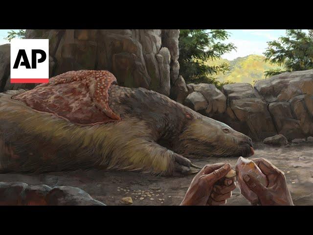 Giant sloths and mastodons lived with humans for millennia in Americas, new discoveries suggest