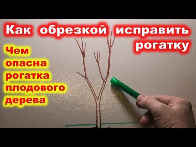 Исправление КРОНЫ с РОГАТКОЙ