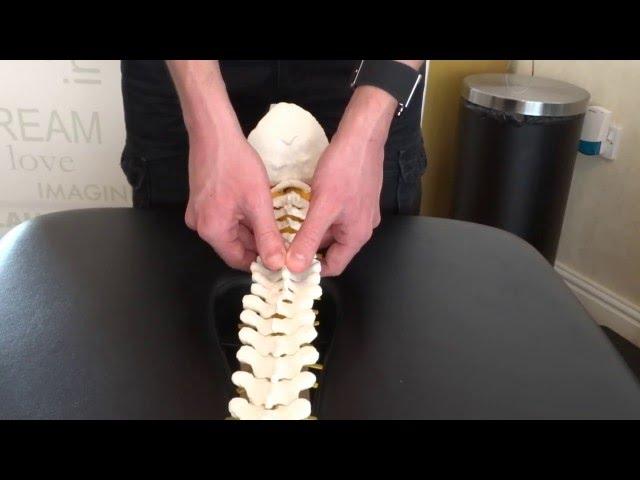 Hawkes Physiotherapy E Course: Central Cervical spine: Posteroanterior mobilisation