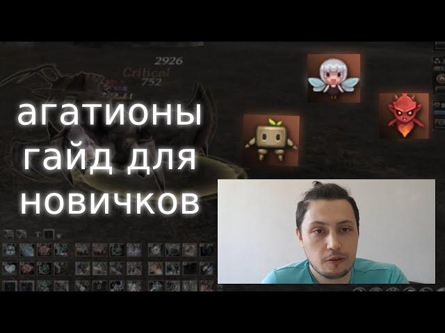 агатионы, все про них, гайд для новичков | lineage 2 essence 2022