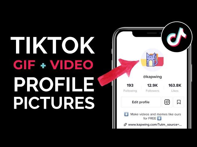 How to Use Any GIF or Video as your TikTok Profile Picture