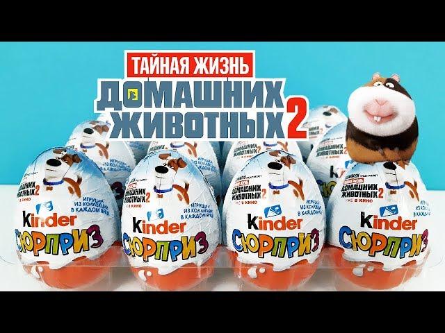 Киндер Сюрпризы ТАЙНАЯ ЖИЗНЬ ДОМАШНИХ ЖИВОТНЫХ 2 2019! Unboxing Kinder Surprise Новая коллекция!