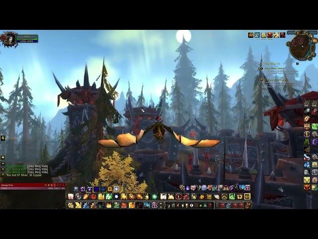 How to start Grizzly Hills Arena chain quest,   Horde. ( The Conquest Pit: Bear Wrestling )