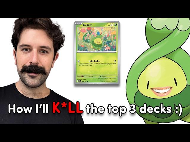 How These Rogue Budew Decks will Break the Meta