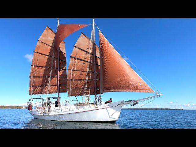 Sailing a Thomas Colvin CHINESE JUNK RIG SCHOONER in the Georgian Bay [Ep 154]