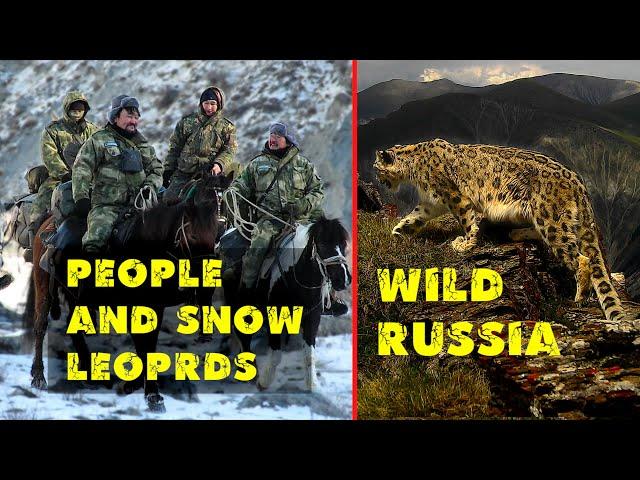 People and snow leopards. Hunters help to study and preserve the snow leopard in the Altai mountains