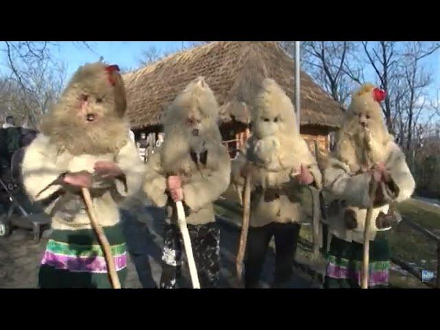 Пісні, традиційний одяг та смаколики: ФЕСТИВАЛЬ КОЛЯДИ ТРИВАЄ на Закарпатті