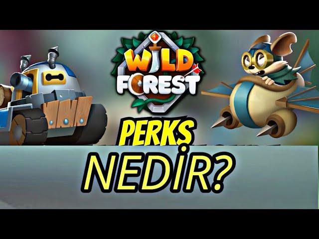 Perks Nedir? Arcade modu | Wild Forest son güncellemeler