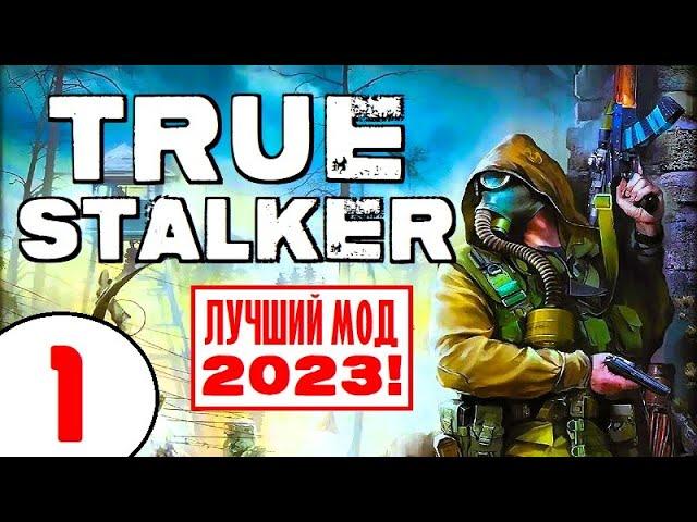 S.T.A.L.K.E.R. TRUE STALKER  ЛУЧШИЙ МОД 2023 (!)  1 серия