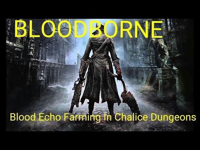 Chalice Dungeon Blood Echo Farming