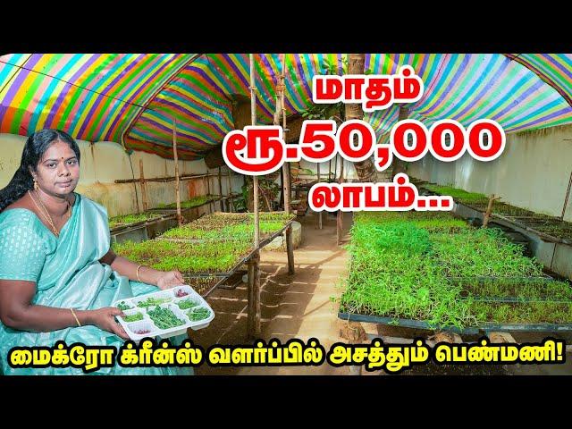 ஒரு கிலோ ரூ.1000 முதல் ரூ.5000 வரை | Micro Greens வளர்ப்பில் இவ்வளவு லாபமா?