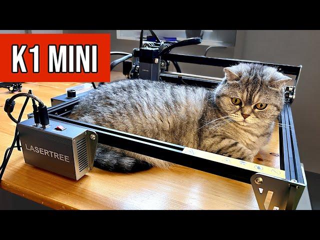 The CHEAPEST LASER ENGRAVER 10W! What can it do?