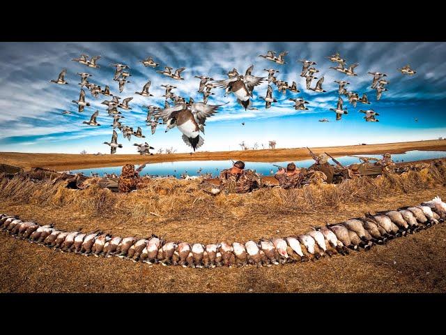 13 MAN WIGEON LIMIT ON TINY TRANSITION DUCK POND!