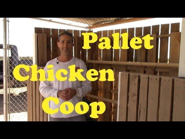 Pallet Chicken Coop | Desert Coop Design