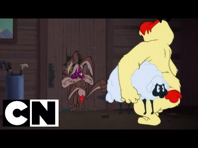 Looney Tunes | Ralph Wolf & Sam Sheepdog | Cartoon Network