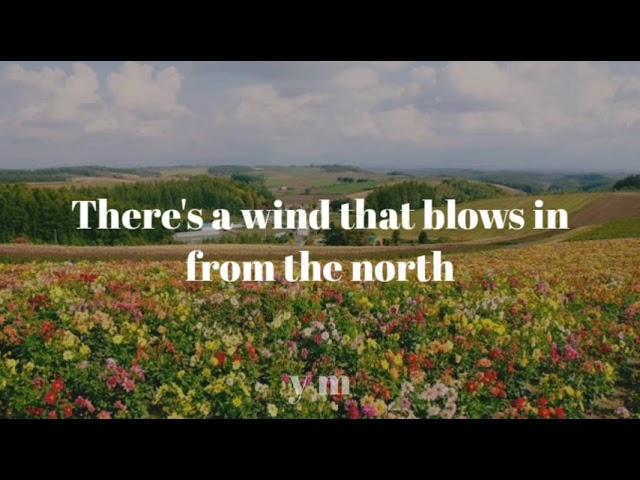 Kath Bloom - Come Here (lyrics)