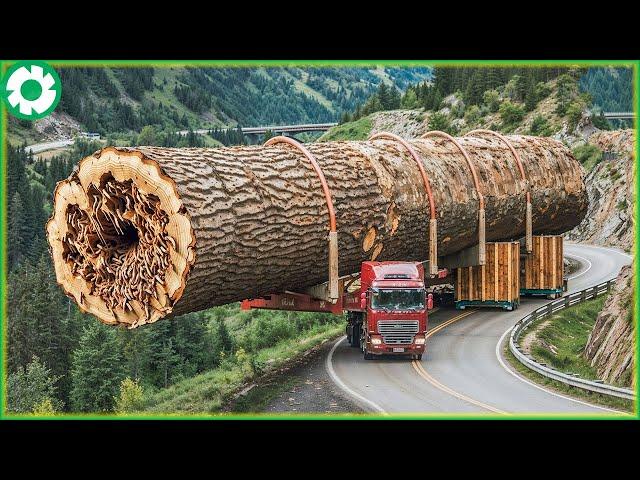 Extreme Dangerous Transport Logging Wood Driving Skill | Biggest Heavy Machinery Machines