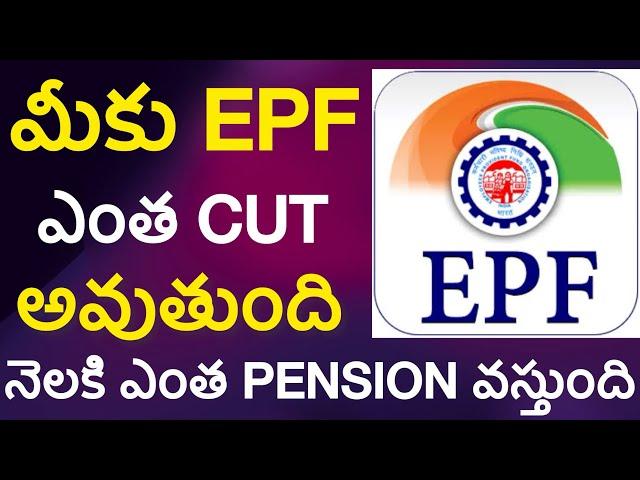 What is EPF Telugu : PF Contributions & Pension Calculation Explained