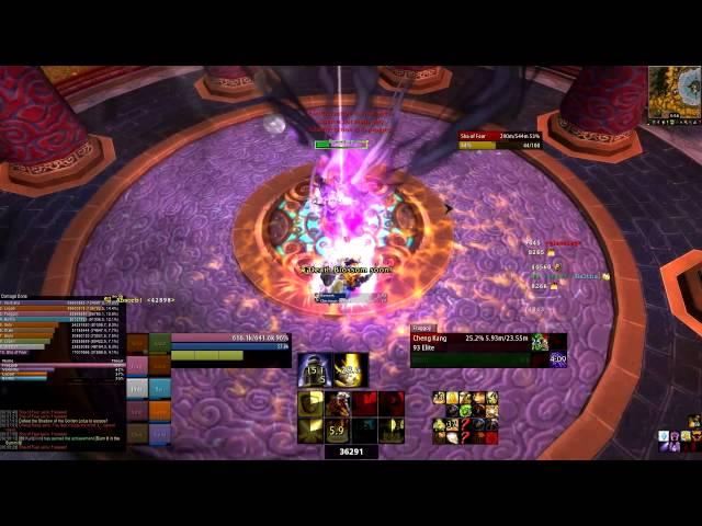 Dream Paragon VS Sha of Fear 10 Heroic