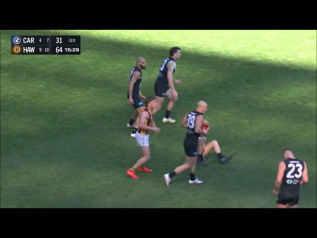 Lachie Cowan - AFL 2024 Round 22 Highlights - Carlton vs Hawthorn