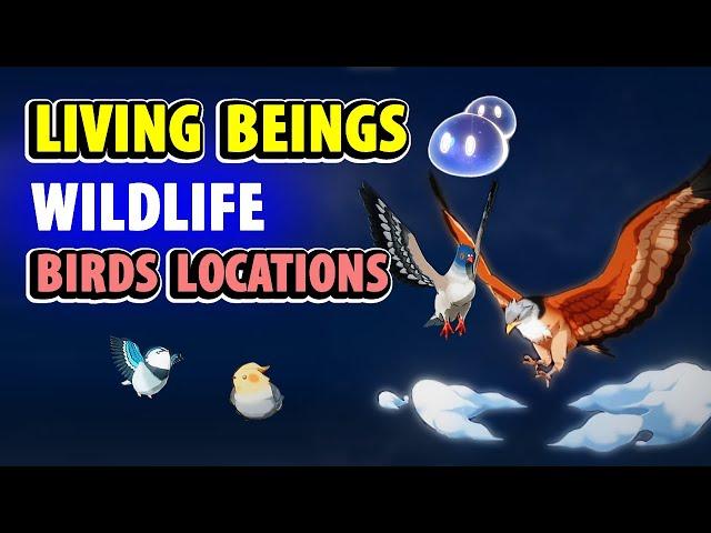 All Wildlife Birds - Living Beings Archive | Genshin Impact Falcon, Pigeon, Finch, Duck, Crane