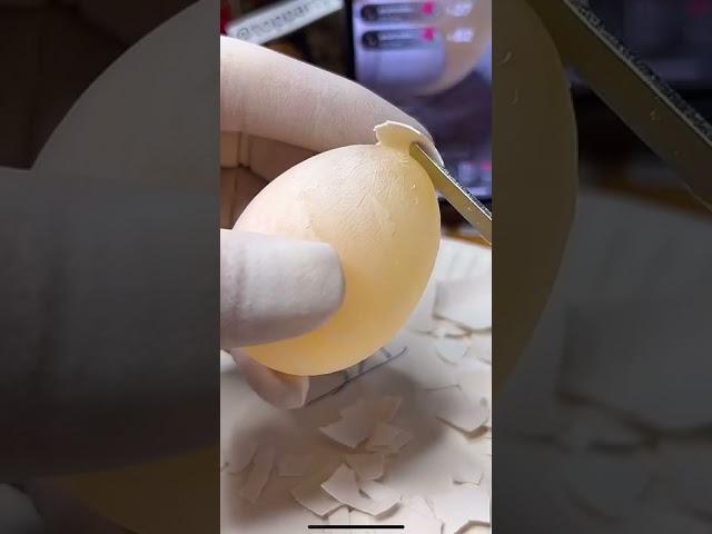 Egg peel tiktok live victory win live