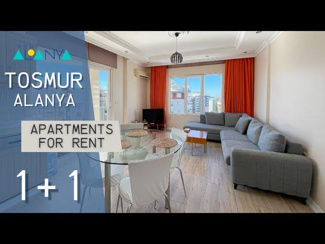 Квартира в Алании 1+1 | Аренда квартиры в Алании | Вид на море и горы | Недвижимость в Турции
