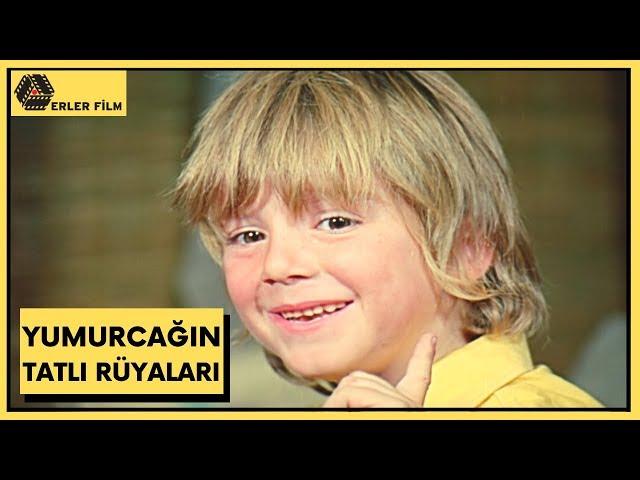 Yumurcağın Tatlı Rüyaları | Filiz Akın, Ediz Hun, İlker İnanoğlu | Türk Filmi | Full HD