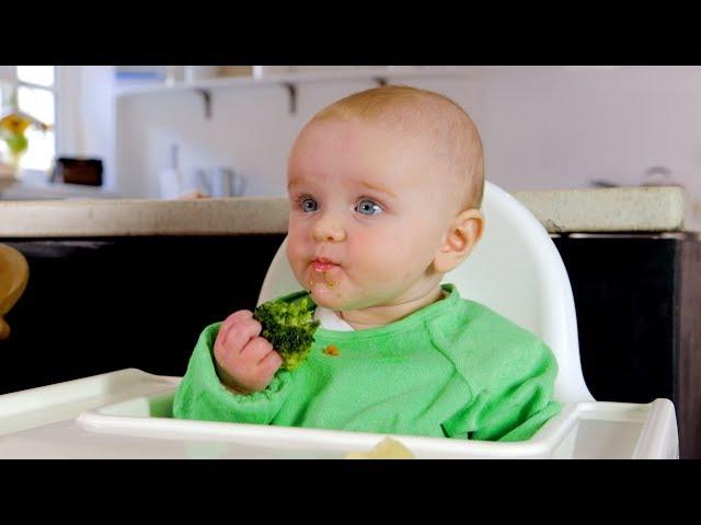 Baby-led weaning basics