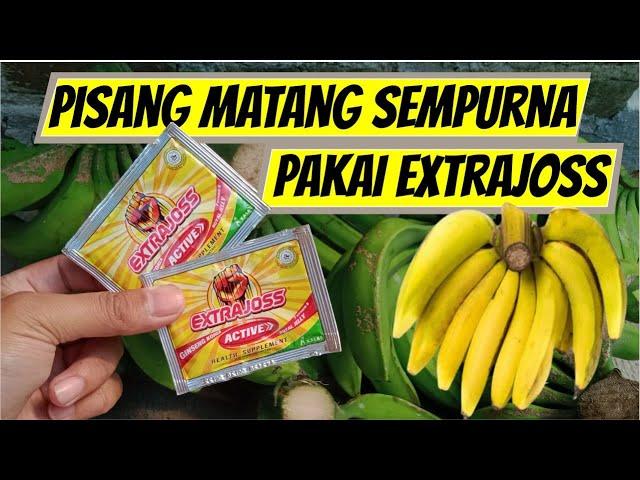 pisang cepat matang tanpa karbit