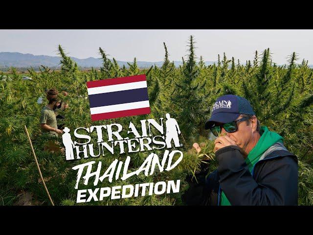 Strain Hunters: Thailand Expedition FULL DOCUMENTARY