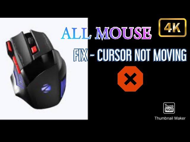 How To Fix All Mouse Cursor Not Moving But Click Is Working? | Easy Way #mousecursornotmoving,