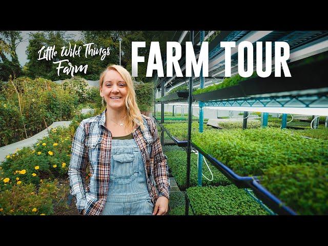 FULL TOUR of Little Wild Things MICROGREENS Farm in a DC Parking Garage!