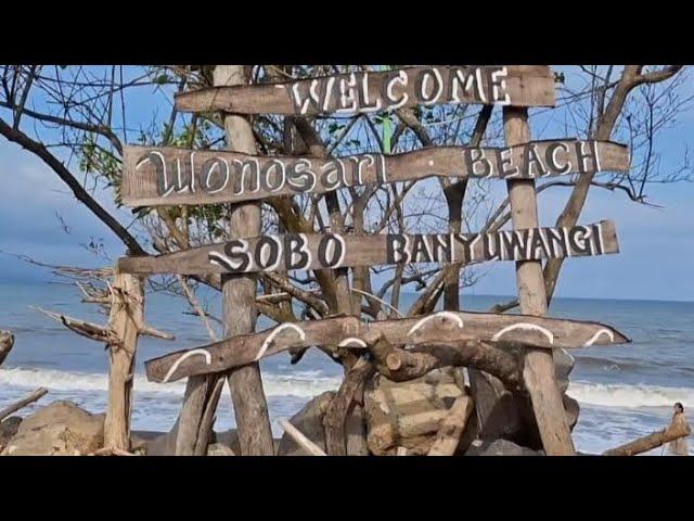 Explore Pantai Wonosari Sobo Banyuwangi