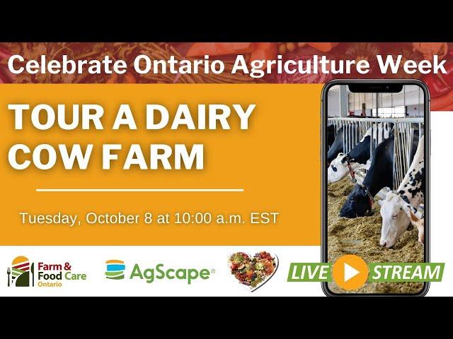 Dairy Farm- Virtual Food & Farm Field Trip