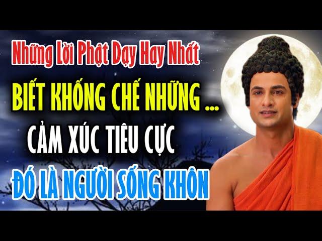 Những Lời Phật Dạy Hay Nhất : Biết Khống Chế Những Cảm Xúc Tiêu Cực Đó Là Người Biết Sống