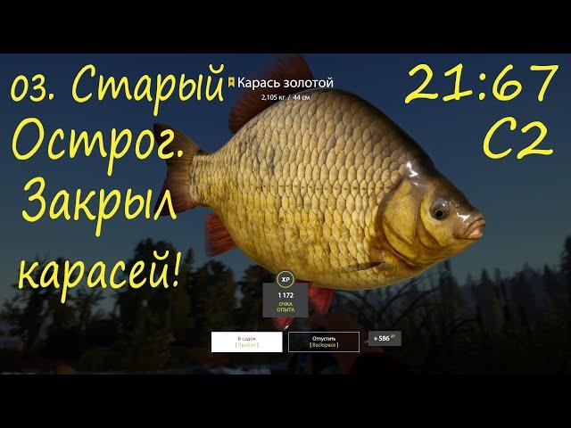 Закрыл карасей на оз. Старый Острог! рр4