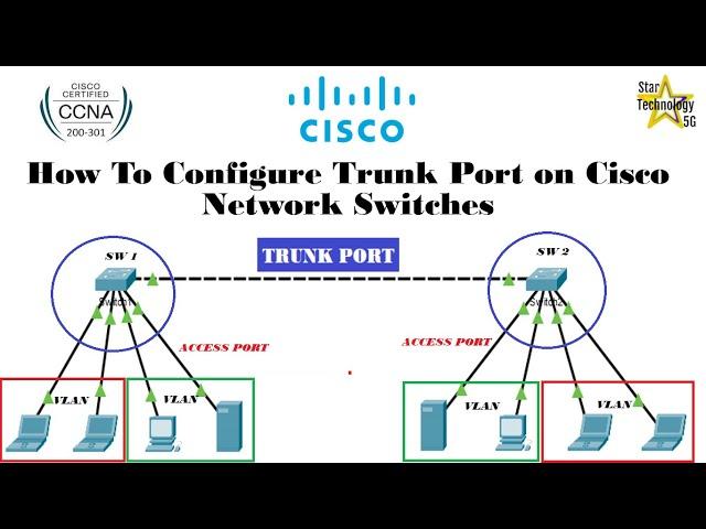 What is a Trunk Port? How to Configure a Trunk Port on CISCO Network Switch #ciscopackettracer