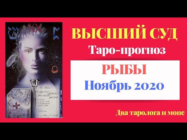 РЫБЫ. Ноябрь 2020 Высший Суд