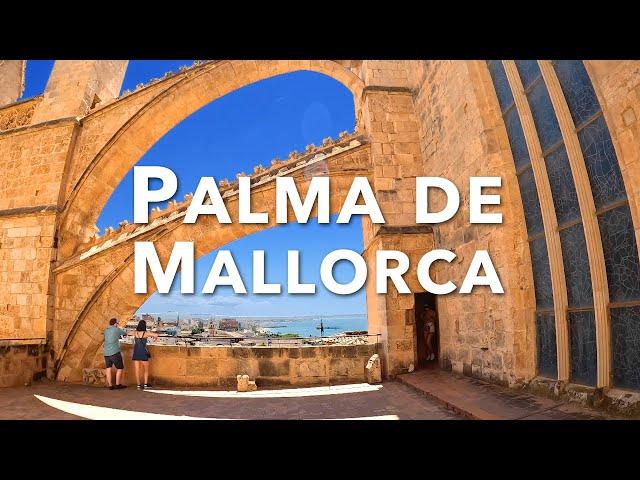 ULTIMATE GUIDE TO PALMA DE MALLORCA | Top Travel Tips And Must-see Attractions!