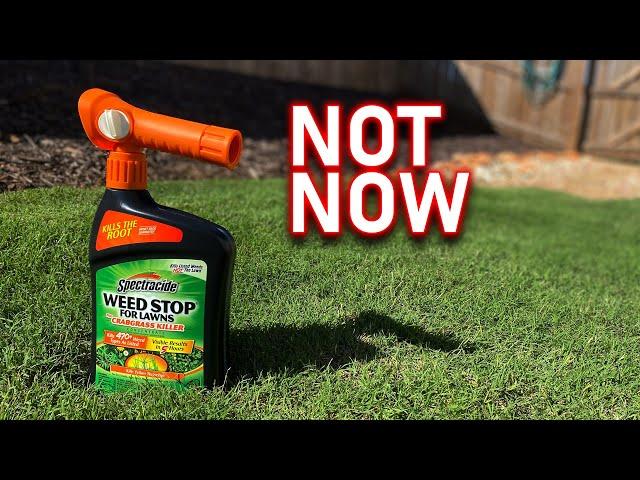 Fall is NOT the time to KILL WEEDS in your lawn! There's a BETTER option.