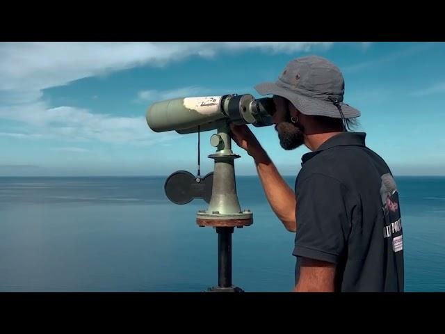 Cortometraje proambiental "Habitantes del Azul"