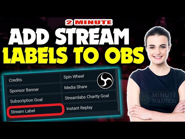 How to add stream labels to obs 2024 (Quick & Easy)