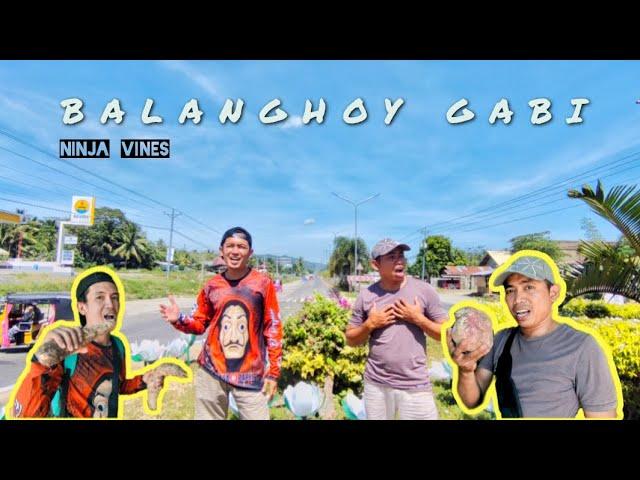 BALANGHOY GABI| cover NINJA VINES