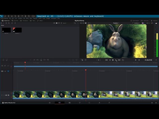 Davinci Resolve on Freebsd