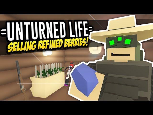 SELLING REFINED BERRIES - Unturned Life Roleplay #348